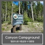 옐로우스톤국립공원 캐년 캠핑장:: Canyon Campground