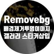 Removebg에서 배경 제거하고 갤러리의 편집기능 스티커 삽입으로 합성
