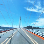 차로 가는 전남 신안 섬 여행 천사대교 길이 건설방식 전망대