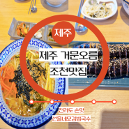 제주동쪽가볼만한곳 제주동쪽맛집 제주조천맛집 거문오름정보 근처맛집 선흘네모김밥 내돈내산 리뷰