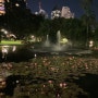 호주 여행기 - 21) 브리즈번 여행 / Brisbane city botanic gardens(브리즈번 시티 보타닉 가든)