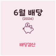 배당금 결산 - 2024년 06월