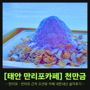태안 만리포 오션뷰 카페 천만금 빙수 내돈내산 솔직후기 (크런치우베 빙수)