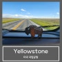 Yellowstone national park :: 옐로우스톤, 미국국립공원