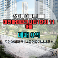 유성구 상대동 부동산 대전아이파크시티1단지 매매 110동 9층