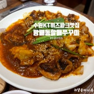 수원KT위즈파크 맛집 방배동할매쭈꾸미 수원조원점 후기