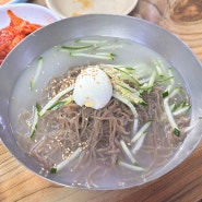 인천 부평 시장역 메밀 막국수 맛집 부평 막국수, 부평 냉면 맛집 추천