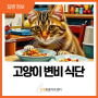 고양이 변비 예방을 위한 식단 및 습관(경기광주 고양이 특화 클리닉)