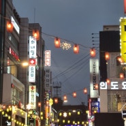 문화의 날이라 쓰고 여기저기 싸돌아다닌다