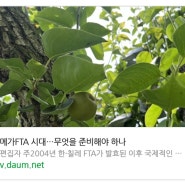 메가FTA 시대…무엇을 준비해야 하나