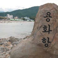 용화해변, 용화방파제 : 스노쿨링 초보를 위한 동해 삼척 해변