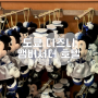 도쿄 디즈니 앰버서더 호텔 슈페리어 룸 투숙 후기, 기념품 샵