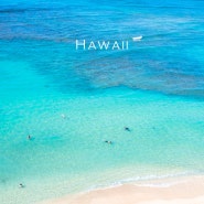 하와이렌트카 예약 & 하와이여행 코스 추천 (카모아)