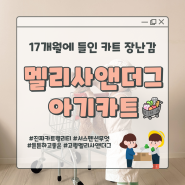 아기 쇼핑카트 멜리사앤더그 카트 17개월 장난감 추천