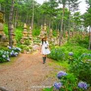 경남 합천 가볼만한곳 천불천탑 대구근교 여행 소원 명소