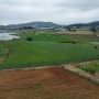 시골 농지 매매(해남 마산면 부동산)