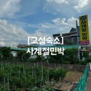 [고성여행] 강원도 촌캉스 / 고성 민박집 사계절민박 / 천진해수욕장 숙소