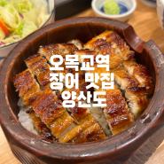 [오목교 데이트 맛집] "양산도" 장어덮밥과 사케동 추천