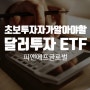 초보 투자자 당신이 알아야 할 최저보증 달러투자ETF