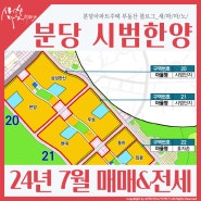 분당 서현동 시범한양 24년7월 현재 매매 & 전세 시세현황_토지거래허가구역지정