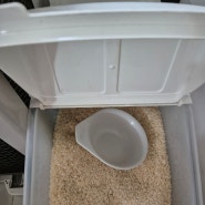여름철 쌀벌레 생기지않게하는 방법