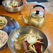 서산호수공원맛집 '광복정육식관': 기대 그 이상의 맛, 시원새콤한 함흥회냉면 한그릇