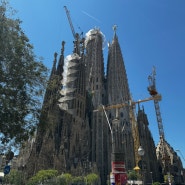스페인 여행 추억하기 바르셀로나 사그라다 파밀리아 성당 근황