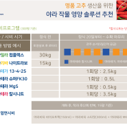 고추 시비프로그램)고추 비료 주는 시기와 방법 | 비료추천