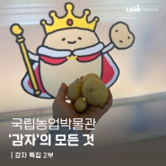 [감자 특집 2부] 국립농업박물관 '감자'의 모든 것