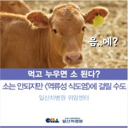 [일산차병원 위암센터] 먹고 바로 누우면 소 된다? 역류성식도염된다! 역류성 식도염 증상, 치료 및 예방법 - 김희성 교수 (상부위장관외과)