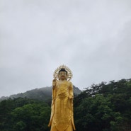 충북 보은 속리산 국립공원 법주사 연꽃단지 트래킹 산책하기 좋고 가볼만한곳