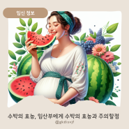 수박의 효능, 임산부가 수박을 섭취시 효능과 주의할 점