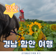 해바라기명소 경남 함안여행 강주해바라기축제 다녀온 후기