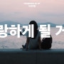 한로로 - 사랑하게 될 거야 [노래추천/가사/뮤비/라이브] 청춘을 노래하는 귀여운 싱어송라이터