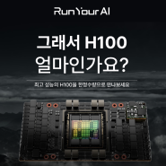 [RunYourAI 스토어] 오픈 기념🎉 🔥H100 프로모션 🔥- '그래서 H100 얼마인가요?'