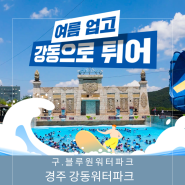 경주 강동 워터파크 가격 입장권 올인패키지 골든 하이시즌