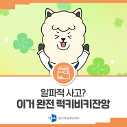 [TIPA 밈] '알파적 사고' 이거 완전 럭키비키잔앙!