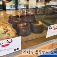 곰이네 고래빵 아직도 오픈런 하는 핫한 빵집