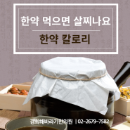 한약을 먹으면 살찌나요? <<한약칼로리 공개>>