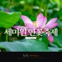 서울 근교 갈만한곳 꽃구경 양평 세미원 연꽃축제