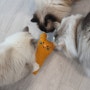 미니프린 마따따비 고양이 인형 캣닢보다 효과 좋은 고양이장난감