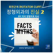 회전근개 손상 (Rotator cuff tear)