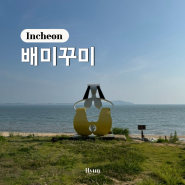 인천 섬여행 신시모도 모도 가볼만한곳 배미꾸미 조각공원 입장료 해변