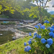 산청 예치리마을 계곡 민박 물놀이 한골민박