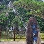 영주 가볼만한곳 영주댐 용혈폭포 용마루2공원 출렁다리