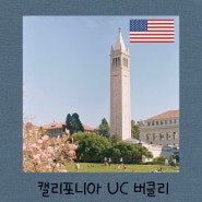 캘리포니아 대학교 UC 버클리 University of California-Berkeley