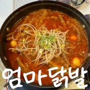 동해 평릉동 엄마닭발포차 안주 맛있는 술집