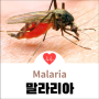 말라리아 정의, Malria 원충 모기 원인과 증상, 열대성 및 삼일열 종류와 현미경과 PCR 진단, 프리마퀸 클로르퀸 메플로킨 치료예방