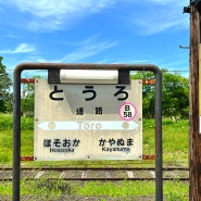 한국인 거의 없는 일본 힐링 여행 홋카이도 쿠시로 습원 노롯코호 열차 타기