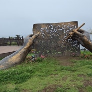 제주 자구리 문화 예술공원이 바다전망이 끝내줘요.